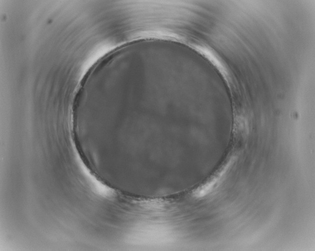 X0000088200999200706051227