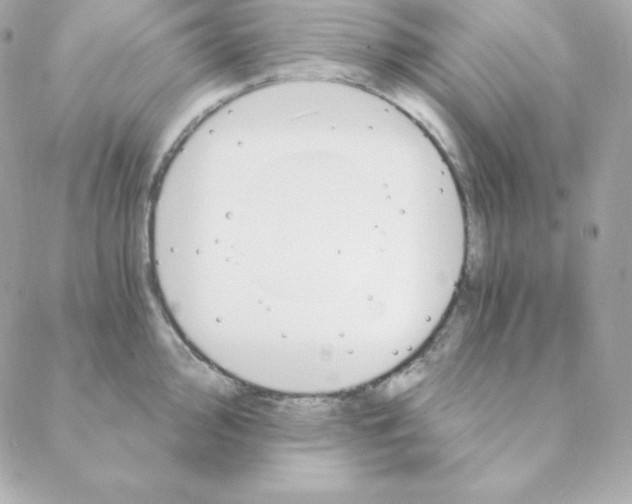 X0000088201000200706051227