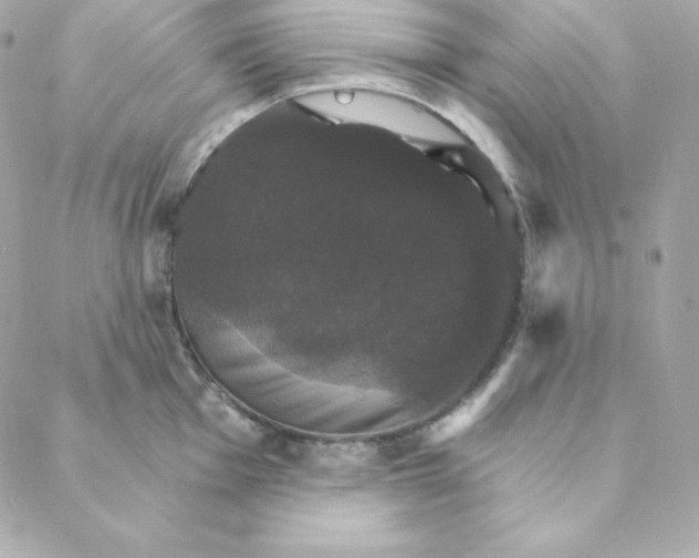 X0000088201001200706051227