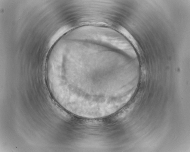 X0000088201002200706051227