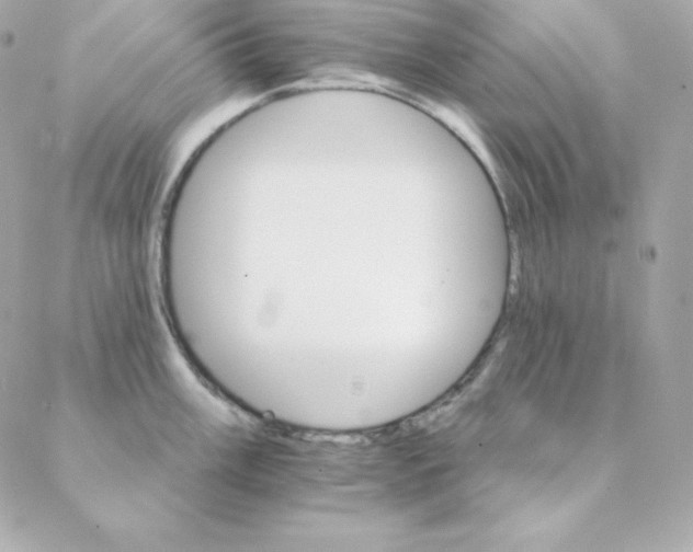 X0000088201003200706051227