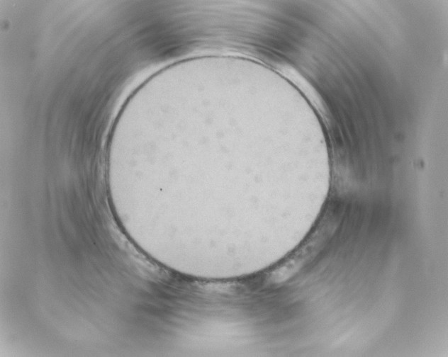 X0000088201004200706051227