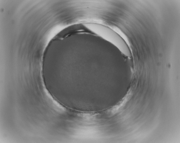 X0000088201005200706051227