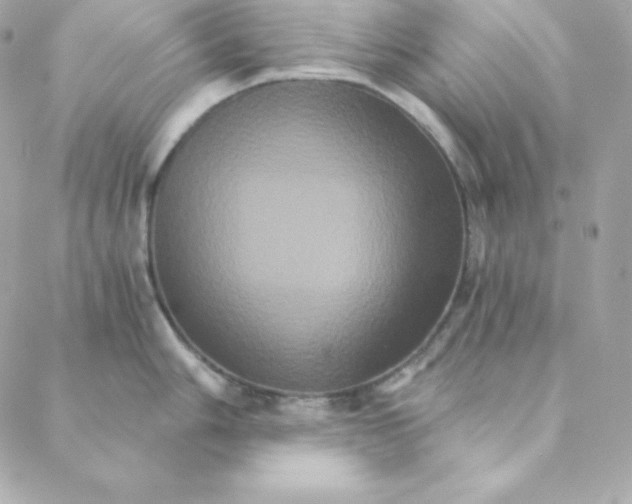 X0000088201006200706051227