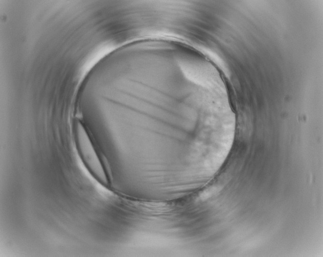 X0000088201007200706051227