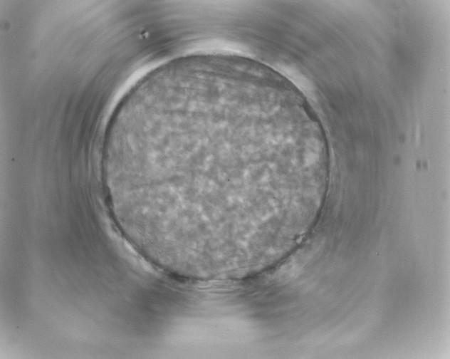 X0000088201008200706051227