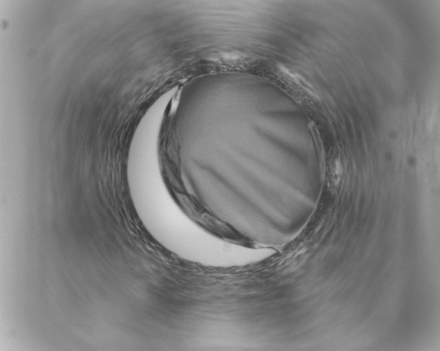 X0000088201010200706051226