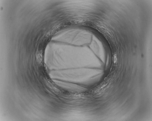 X0000088201011200706051226