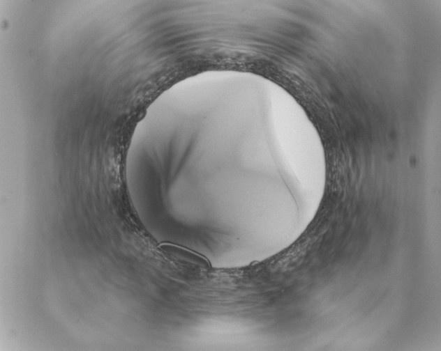 X0000088201013200706051226