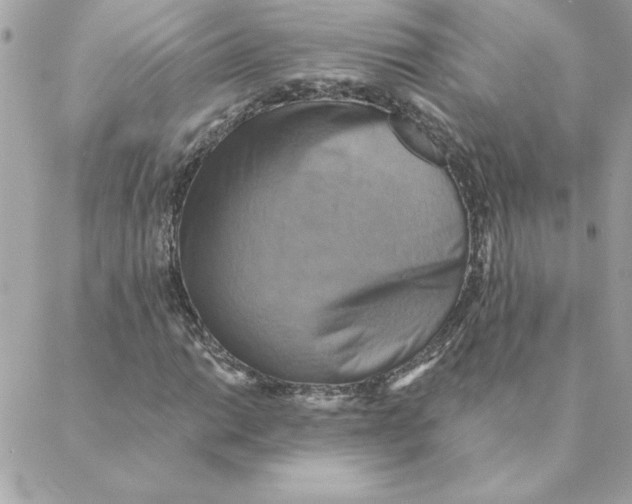 X0000088201014200706051226