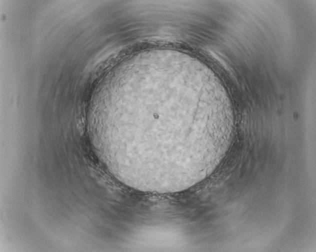 X0000088201015200706051226