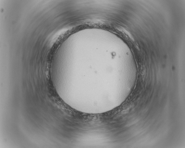 X0000088201016200706051226