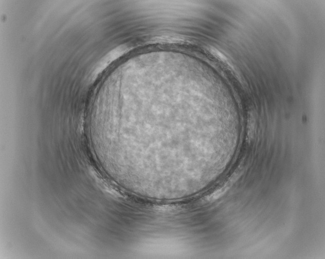 X0000088201017200706051226