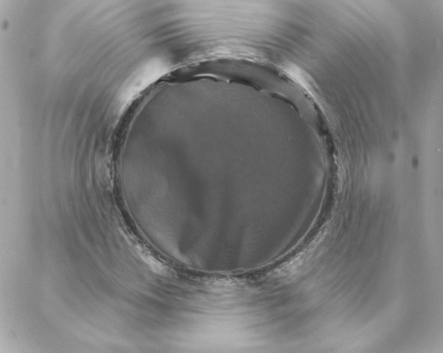 X0000088201018200706051226