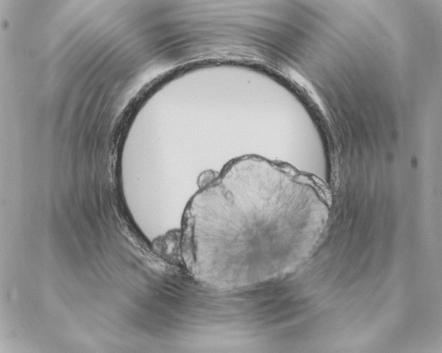 X0000088201019200706051226