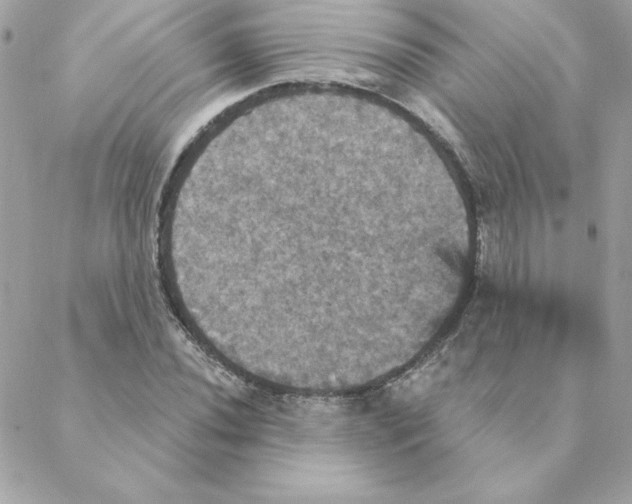 X0000088201020200706051226