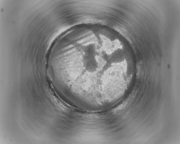 X0000088201021200706051226