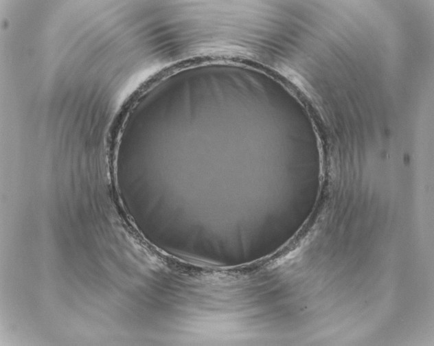 X0000088201022200706051226