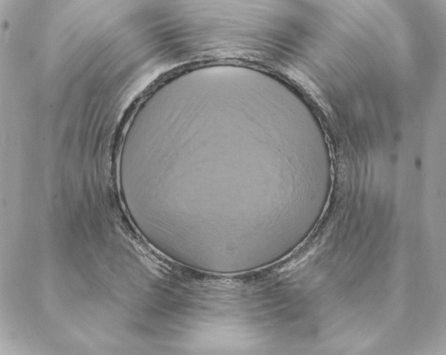 X0000088201023200706051226