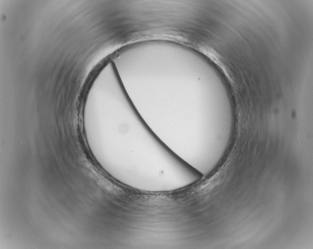 X0000088201024200706051226