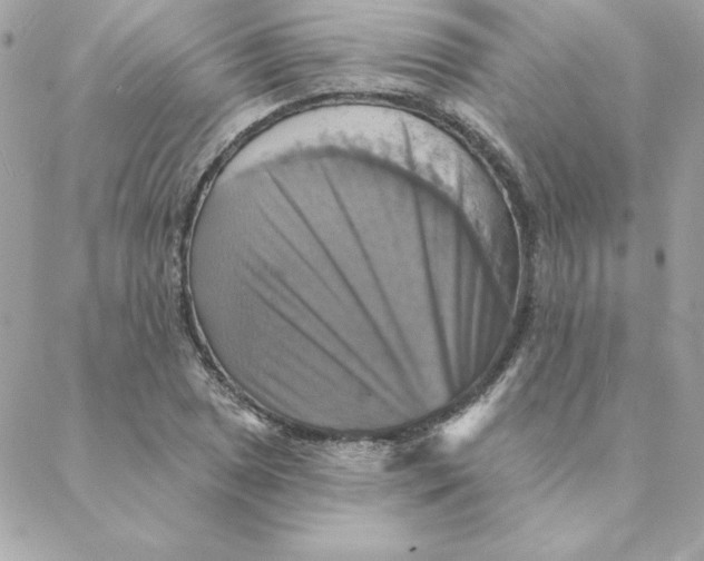 X0000088201025200706051226