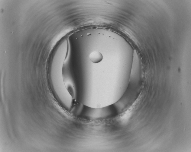 X0000088201026200706051226