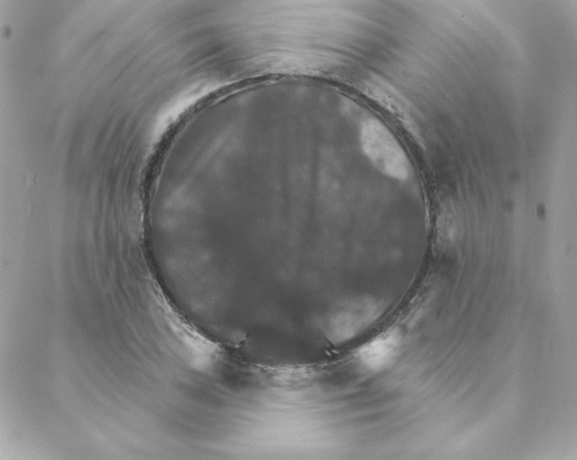 X0000088201027200706051226