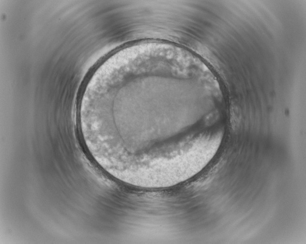 X0000088201028200706051226