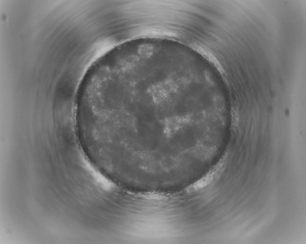 X0000088201029200706051226