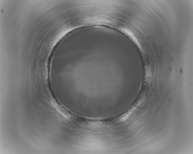 X0000088201031200706051227