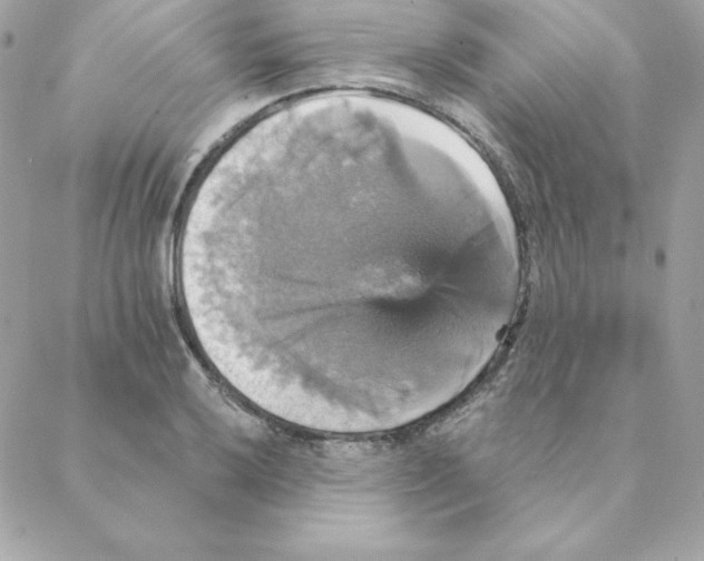 X0000088201032200706051227