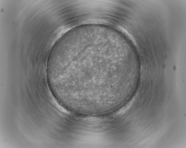 X0000088201033200706051227