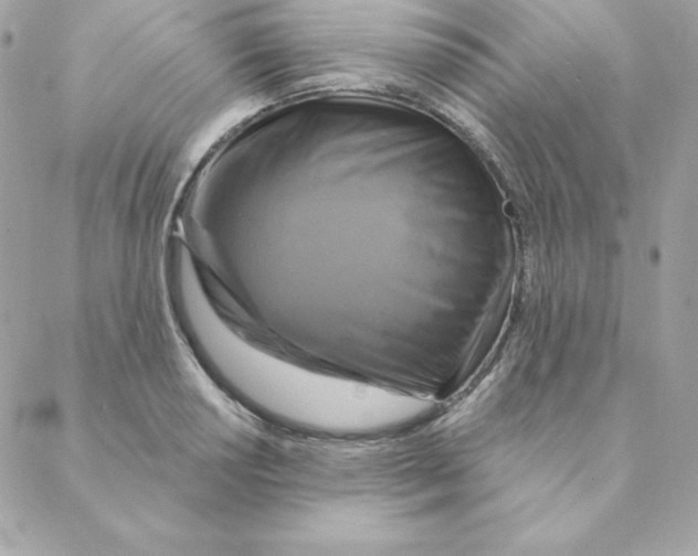 X0000088201034200706051227