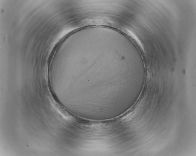 X0000088201035200706051227