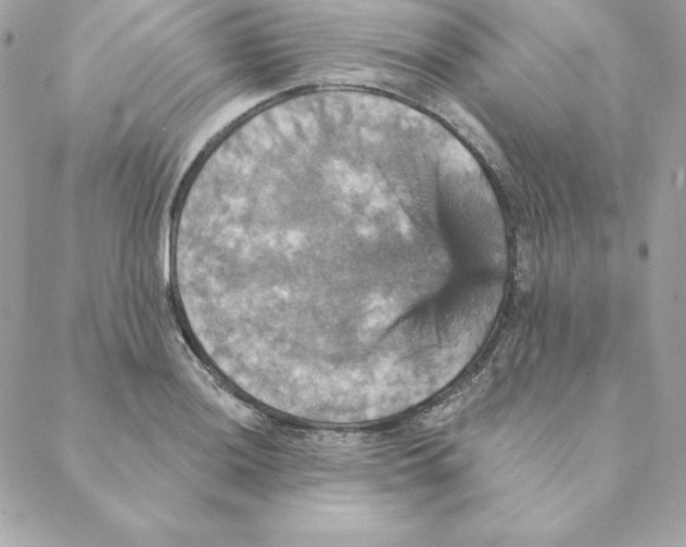 X0000088201036200706051227