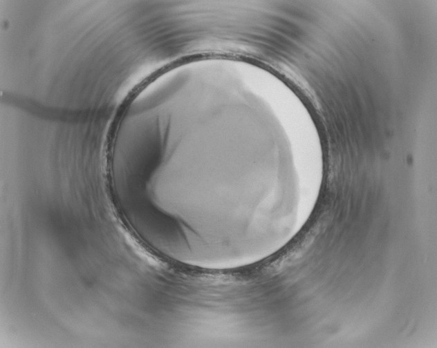 X0000088201037200706051227