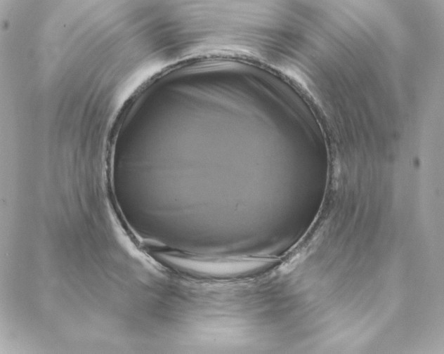 X0000088201038200706051227