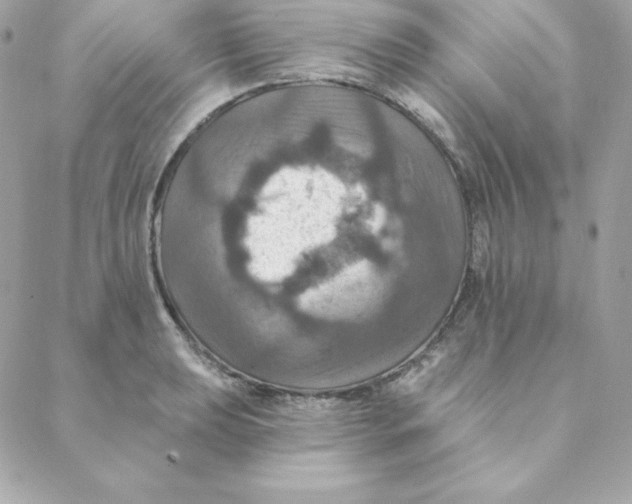 X0000088201039200706051227