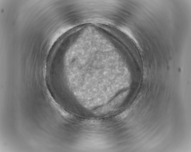 X0000088201040200706051227