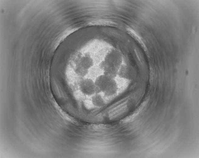 X0000088201041200706051227