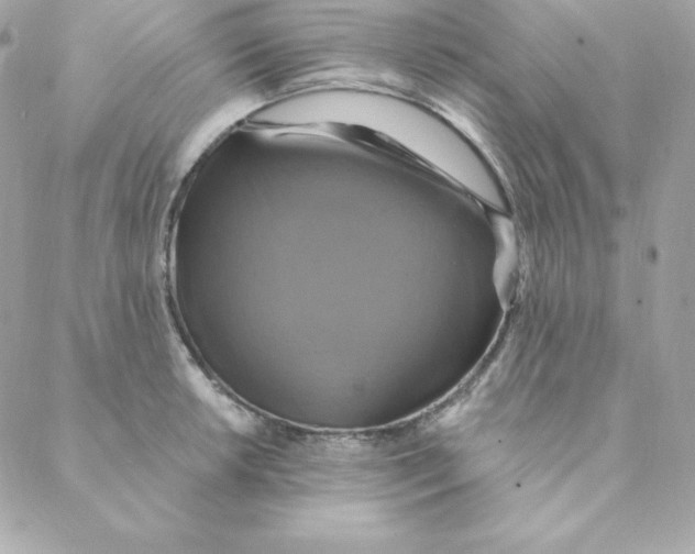 X0000088201042200706051227