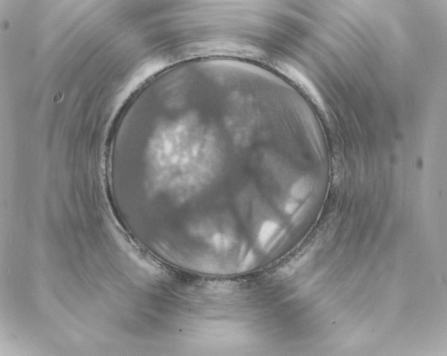 X0000088201043200706051227