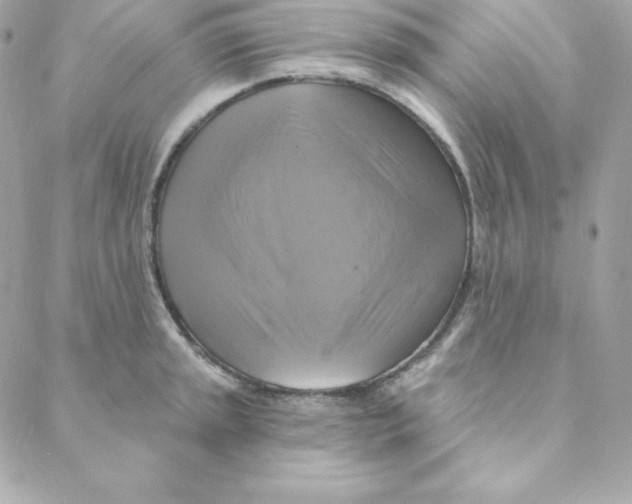 X0000088201045200706051227