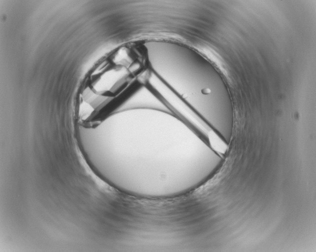 X0000088201046200706051227