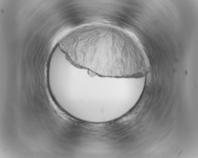 X0000088201047200706051227