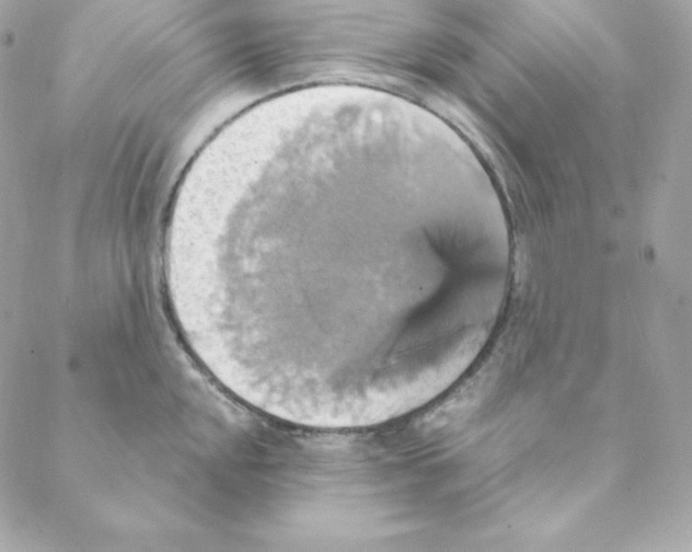 X0000088201048200706051227