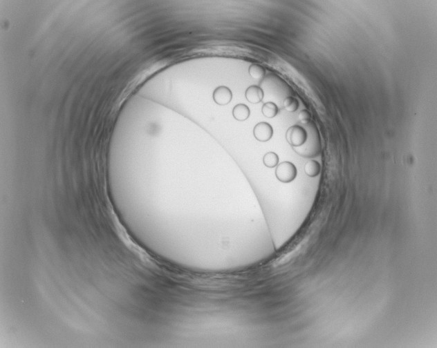 X0000088201049200706051227