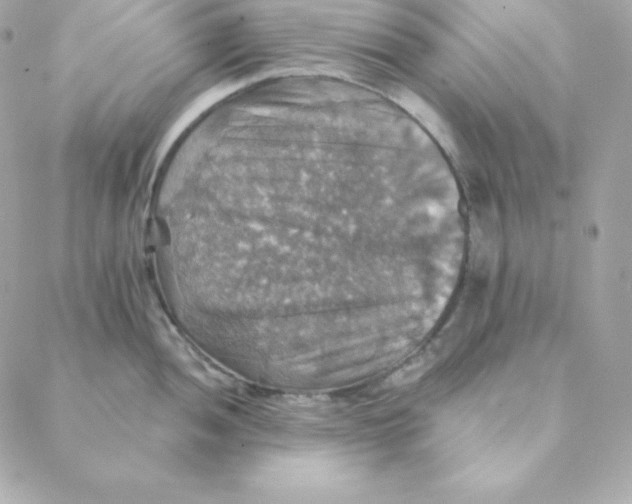 X0000088201052200706051227