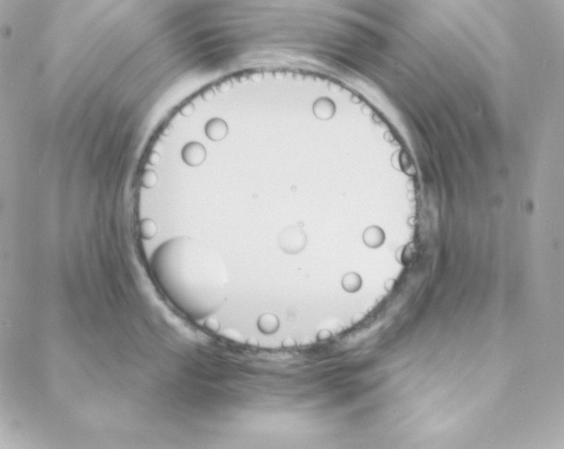 X0000088201053200706051227