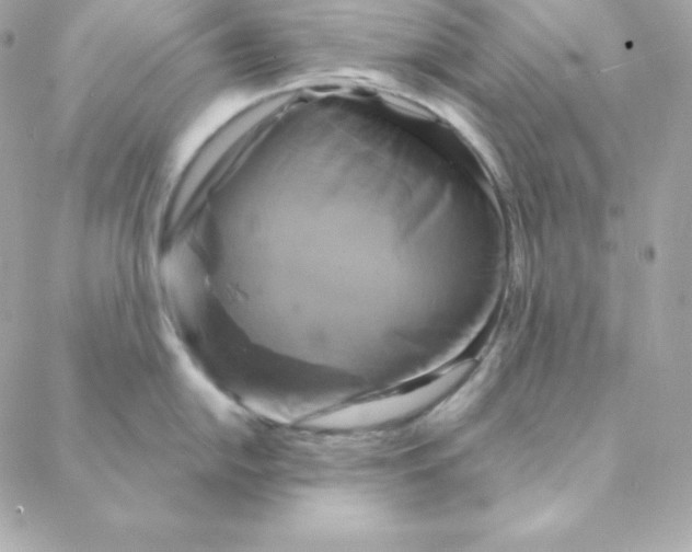 X0000088201054200706051227